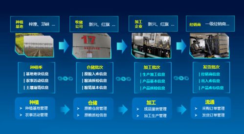 科技賦能，守護“天府糧倉”——川糧集團以全產業鏈云碼溯源引領糧油質量安全新標桿